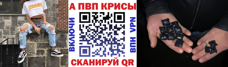 Alfa_PVP СК  Ершов 