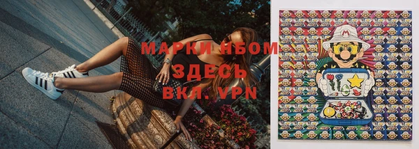 ГАЛЛЮЦИНОГЕННЫЕ ГРИБЫ Сатка